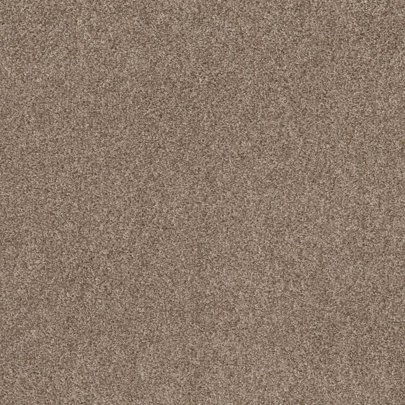 Shaw Floors Spirited Raw Wood