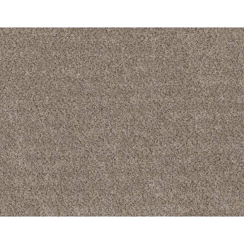 Shaw Floors Basic Mix Baltic Stone
