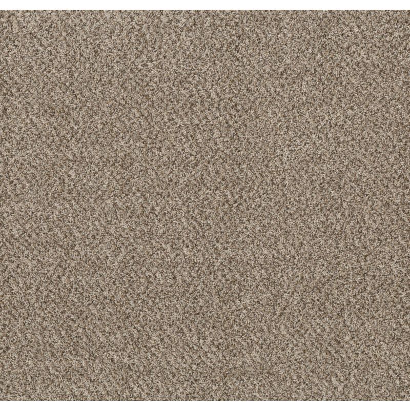 Shaw Floors Basic Mix Beach Pebble