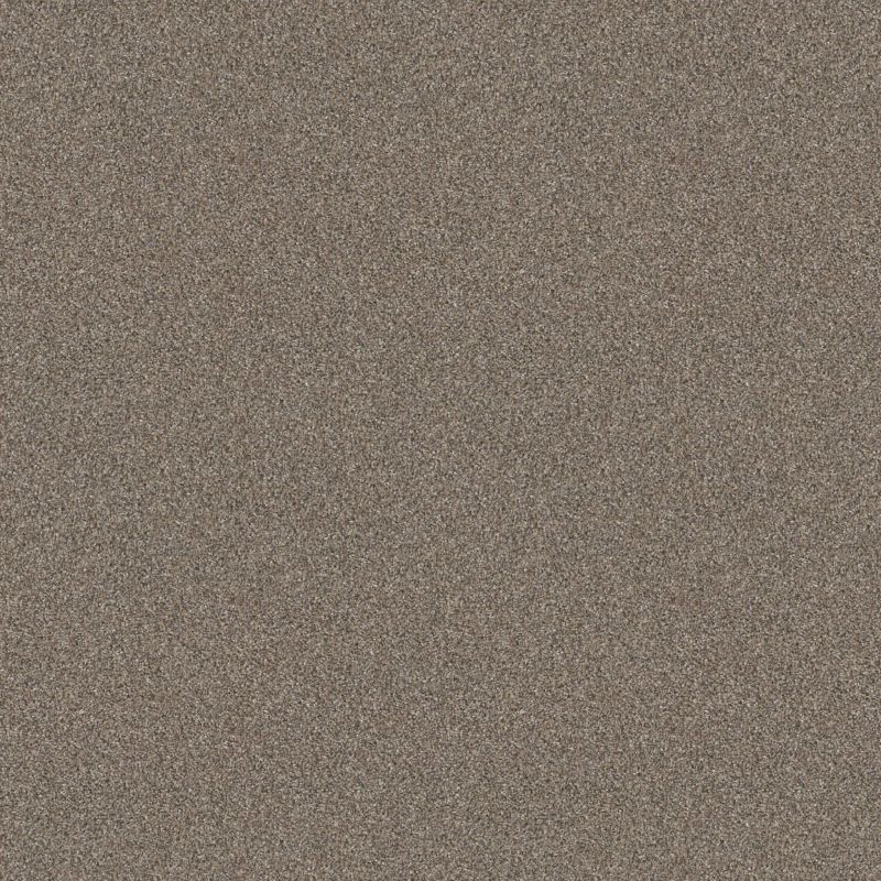 Shaw Floors Tenacious Win Nutria