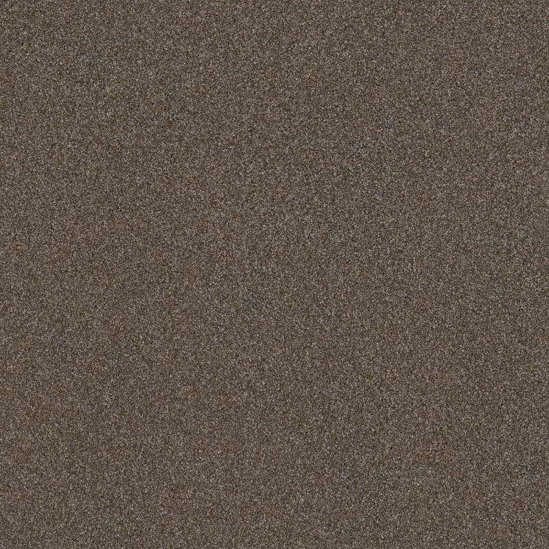 Shaw Floors Right Choice Raw Wood