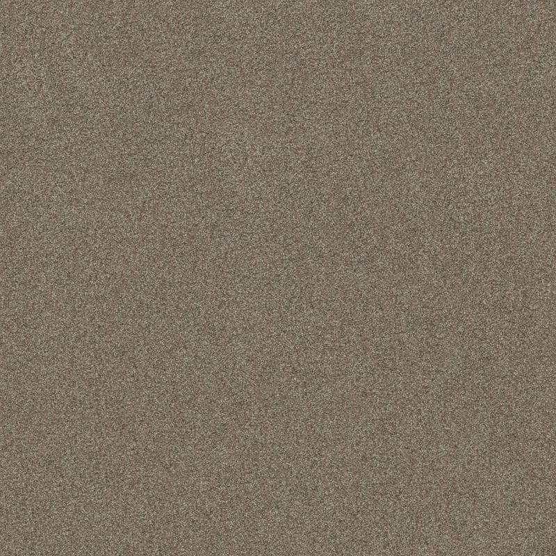 Shaw Floors Sweet Inspiration I Moccasin