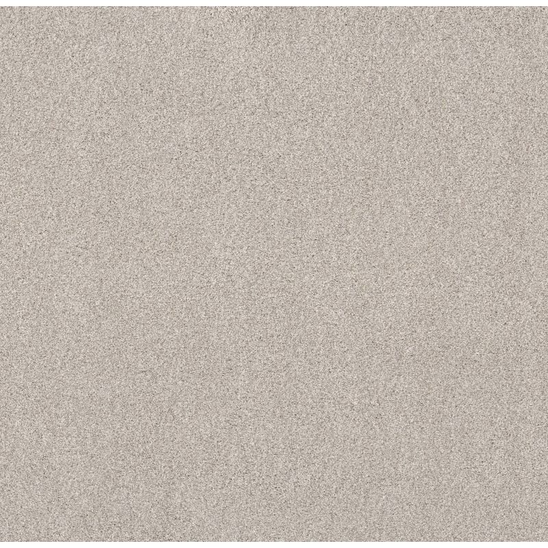 Shaw Floors Live On Comfort Horizon