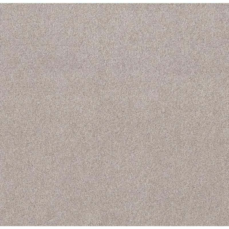 Shaw Floors Value Collections Live On Comfort Net Brushed Aluminum