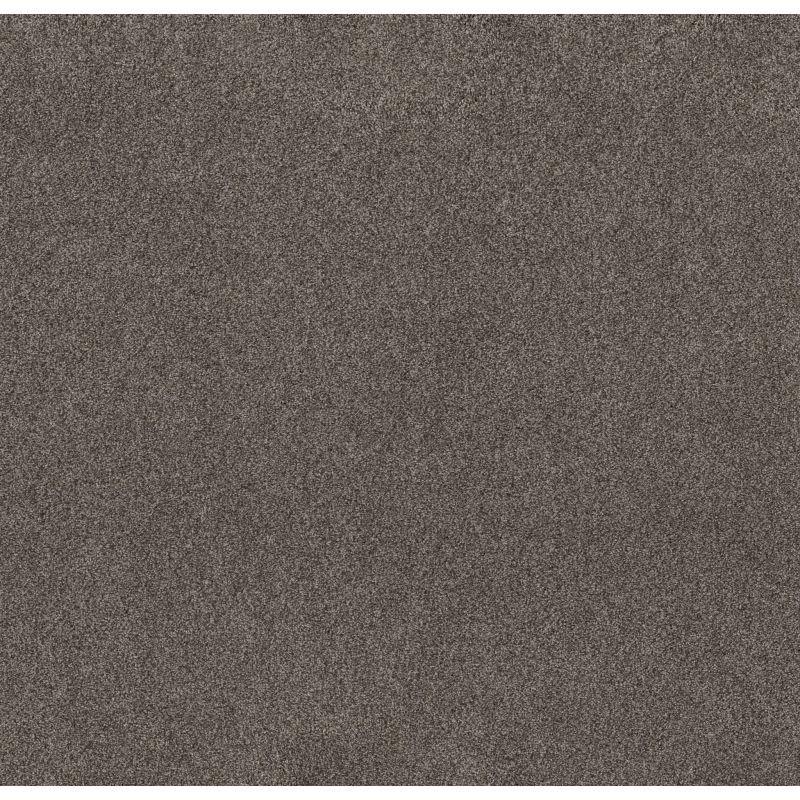 Shaw Floors Value Collections Live On Comfort Net Woodcliff Brown