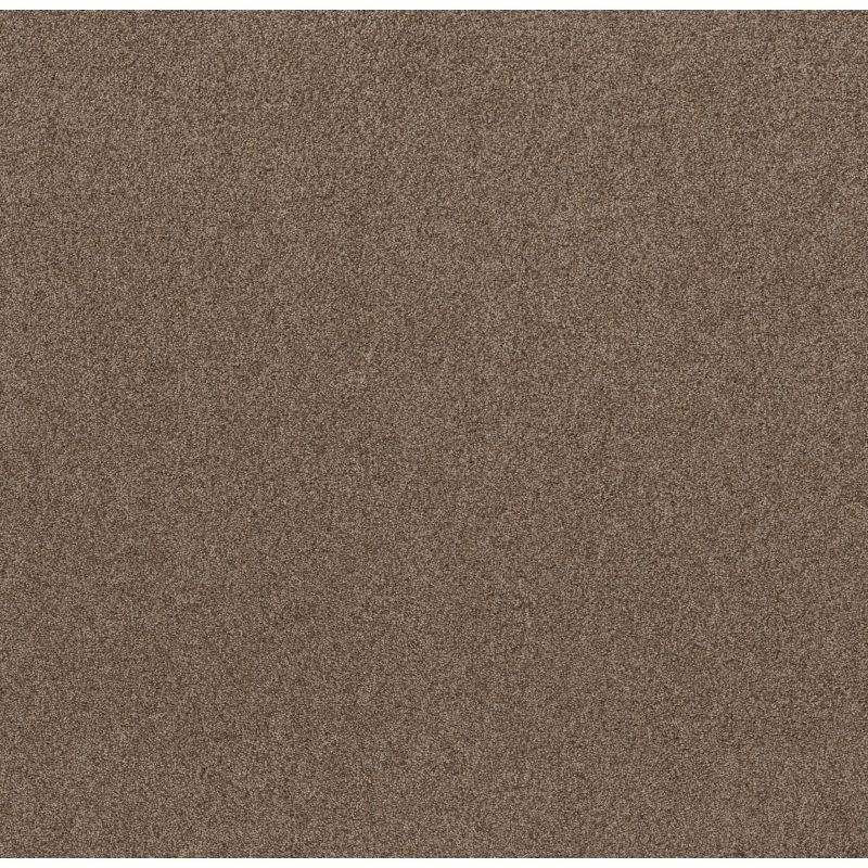 Shaw Floors Value Collections Live On Comfort Net Classic Caramel