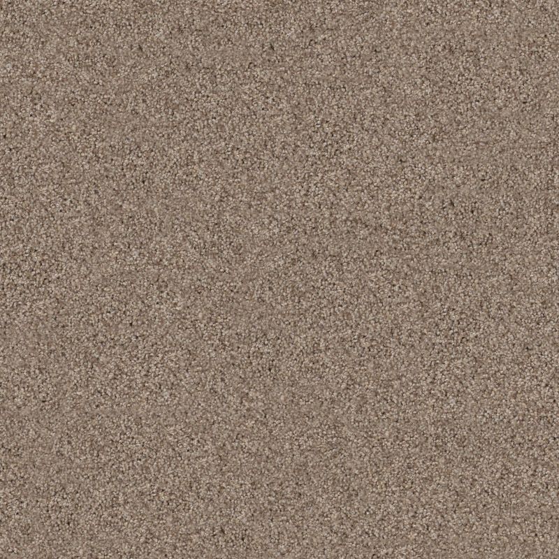 Shaw Floors Value Collections Live On Comfort Net Hillcrest Tan