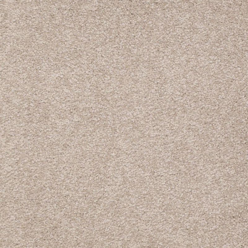 Shaw Floors Value Collections Sandy Hollow Classic Iv 15' Ne Soft Shadow