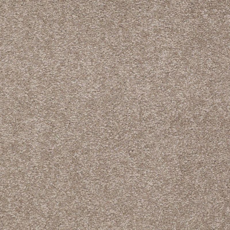 Shaw Floors Value Collections Sandy Hollow Classic Iv 15' Ne Chinchilla