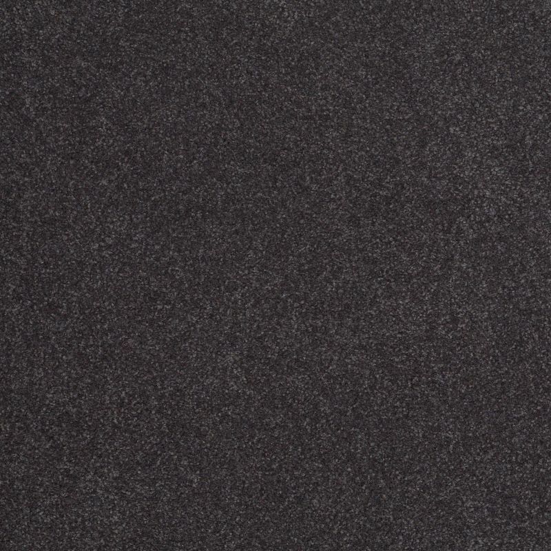 Shaw Floors Value Collections Sandy Hollow Classic Iv 15' Ne Dutch Boy