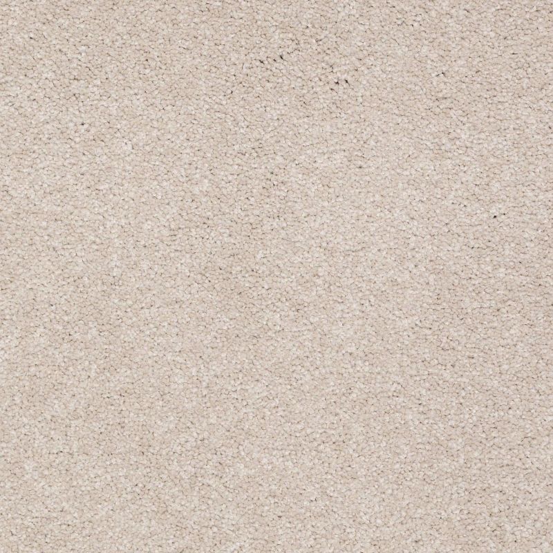 Shaw Floors Value Collections Sandy Hollow Classic I 15' Net Oatmeal
