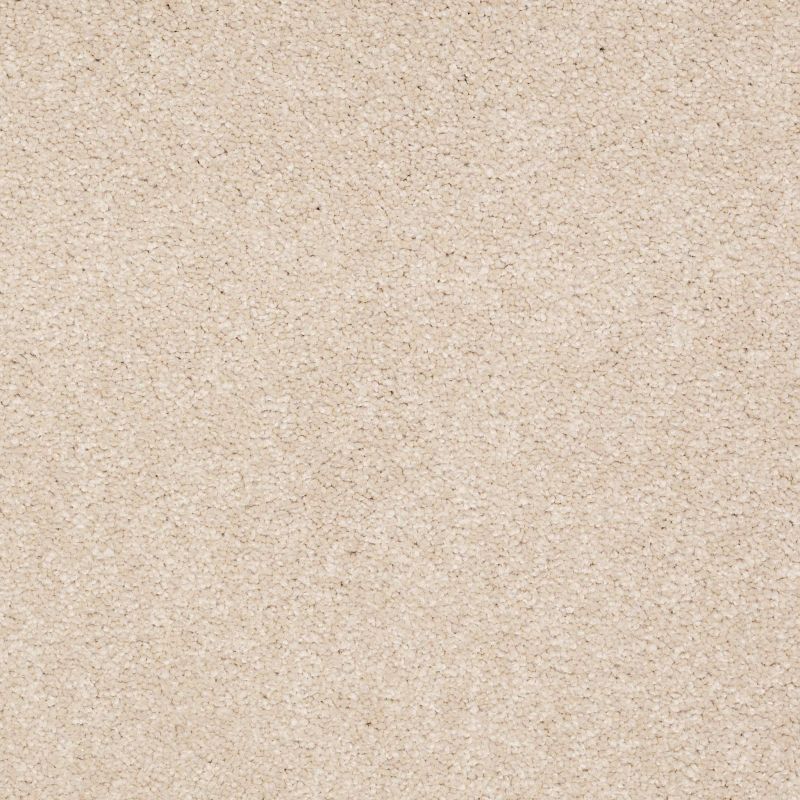 Shaw Floors Value Collections Sandy Hollow Classic I 15' Net Cashew