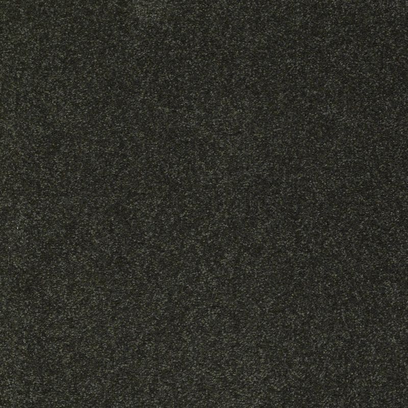 Shaw Floors Value Collections Sandy Hollow Classic I 15' Net Lilly Pad