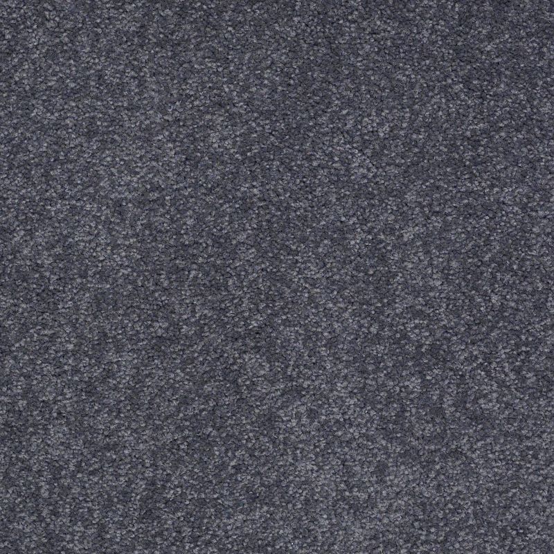 Shaw Floors Value Collections Sandy Hollow Classic I 15' Net Cadet