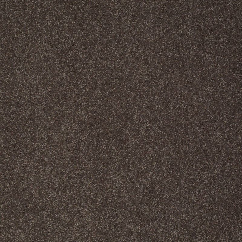 Shaw Floors Value Collections Sandy Hollow Classic I 15' Net Arrowhead