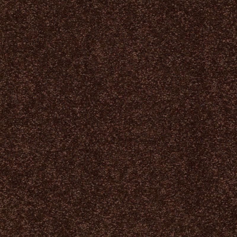 Shaw Floors Value Collections Sandy Hollow Classic I 15' Net Coffee Bean