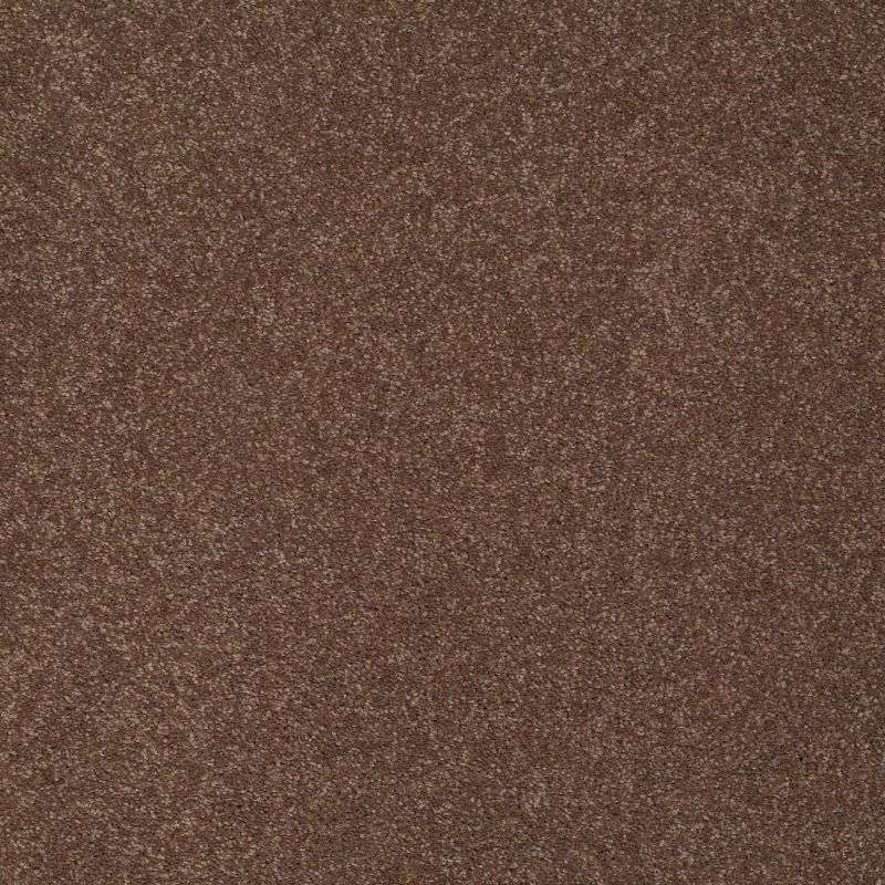 Shaw Floors Value Collections Sandy Hollow Classic I 15' Net Wooden Box