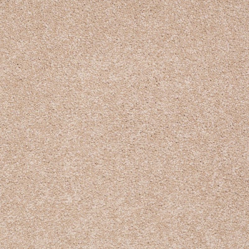 Shaw Floors Value Collections Sandy Hollow Classic II 15 Net Stucco