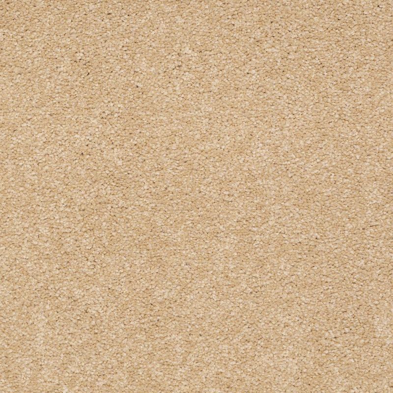 Shaw Floors Value Collections Sandy Hollow Classic II 15 Net Cornfield