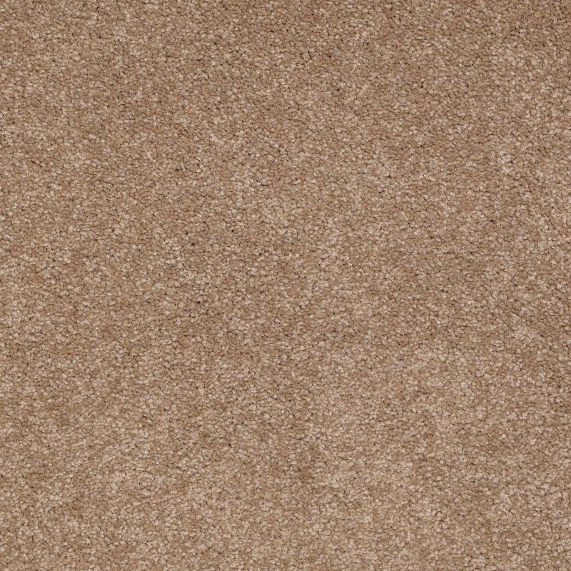 Shaw Floors Value Collections Sandy Hollow Classic II 15 Net Mojave