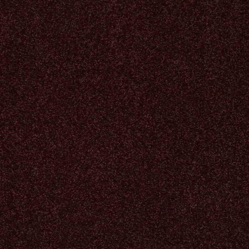 Shaw Floors Value Collections Sandy Hollow Classic II 15 Net Rouge Red