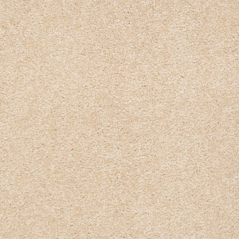 Shaw Floors Value Collections Sandy Hollow Classic III 15 Ne Marzipan
