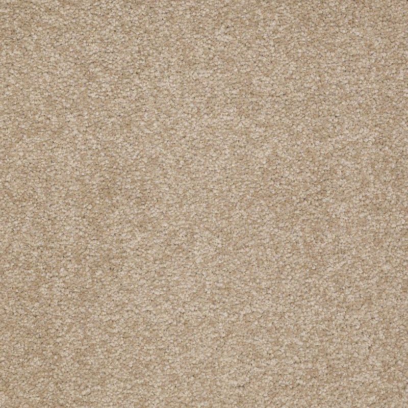 Shaw Floors Value Collections Sandy Hollow Classic III 15 Ne Sahara