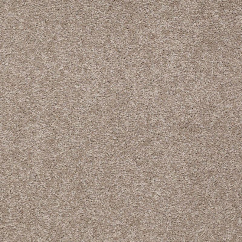 Shaw Floors Value Collections Sandy Hollow Classic III 15 Ne Chinchilla