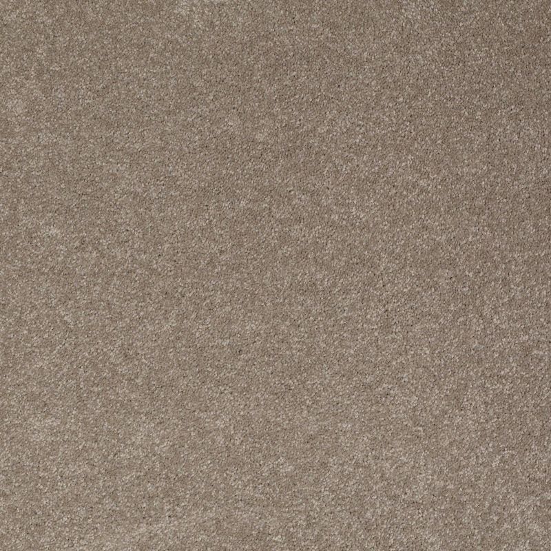 Shaw Floors Value Collections Sandy Hollow Classic III 15 Ne Wood Smoke