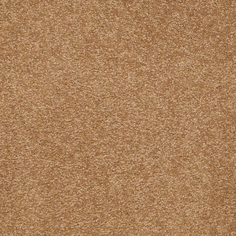 Shaw Floors Value Collections Sandy Hollow Classic III 15 Ne Peanut Brittle