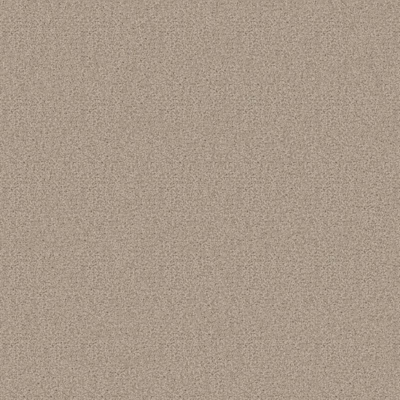 Shaw Floors Value Collections Positively Net Hideaway