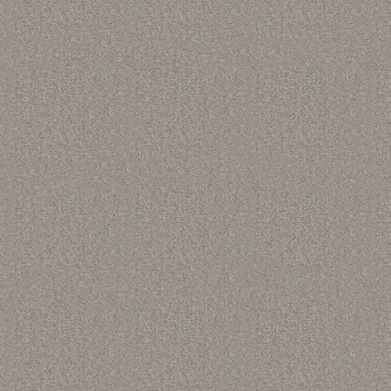 Shaw Floors Value Collections Positively Net Polished Silver