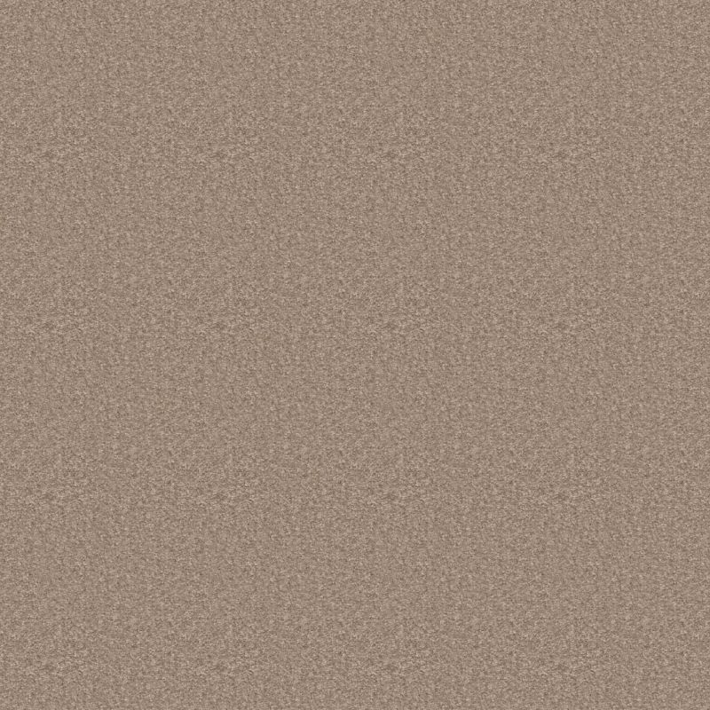 Shaw Floors Value Collections Positively Net Grounded