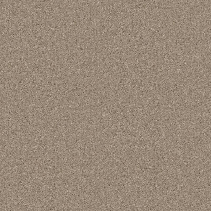 Shaw Floors Value Collections Positively Net Dockside