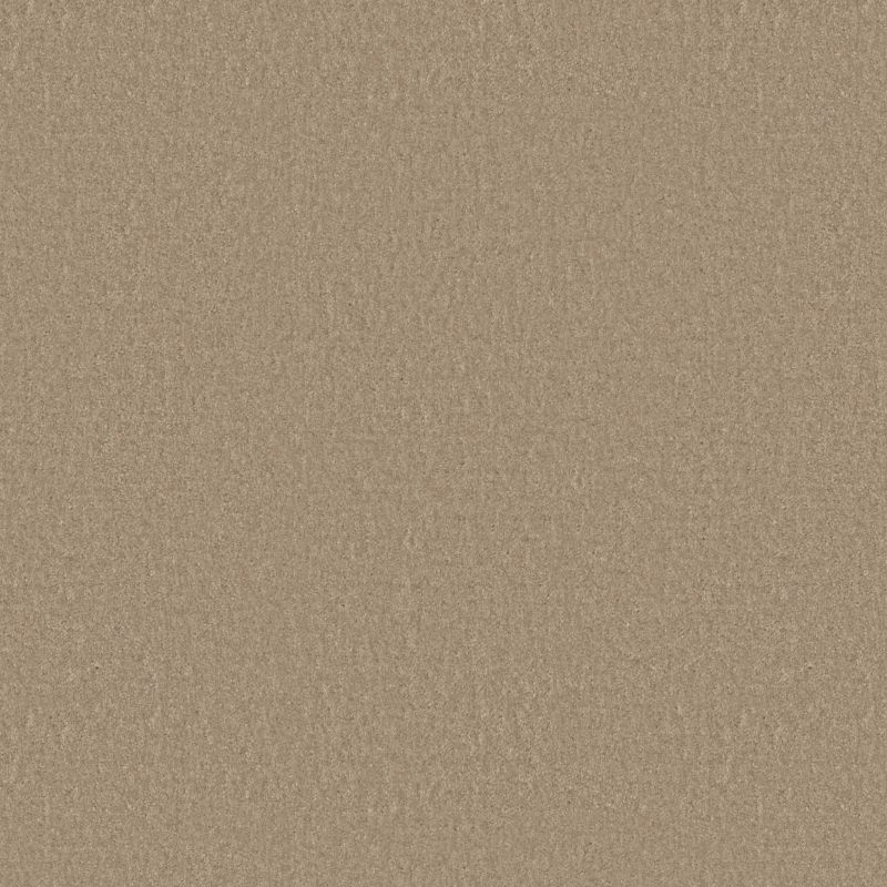 Shaw Floors Value Collections Positively Net Artisan