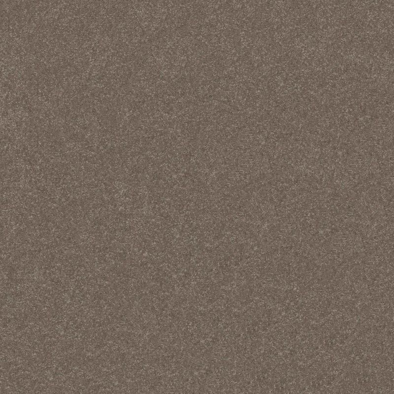 Shaw Floors Pet Perfect Hard At Play I 12' Cobblestone