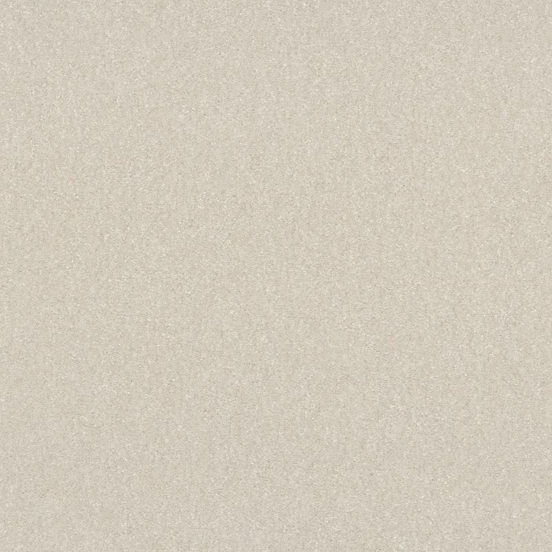 Shaw Floors Pet Perfect Hard At Play II 12' Snowfall