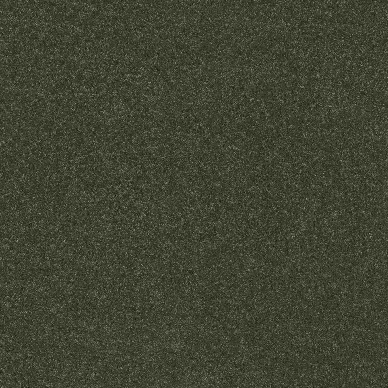 Shaw Floors Pet Perfect Hard At Play III 12' Rerooted Nature