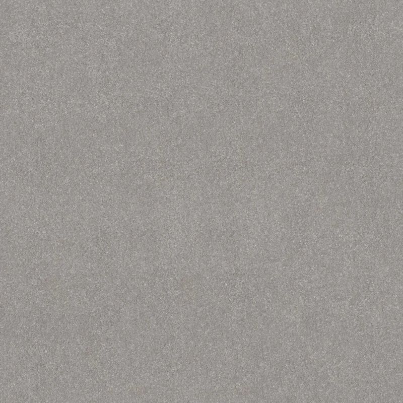 Shaw Floors Pet Perfect Hard At Play III 12' Rock Crystal