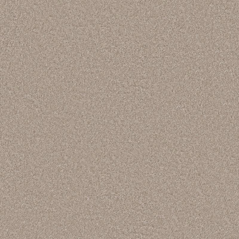 Shaw Floors Pet Perfect You Got This II Subtle Clay