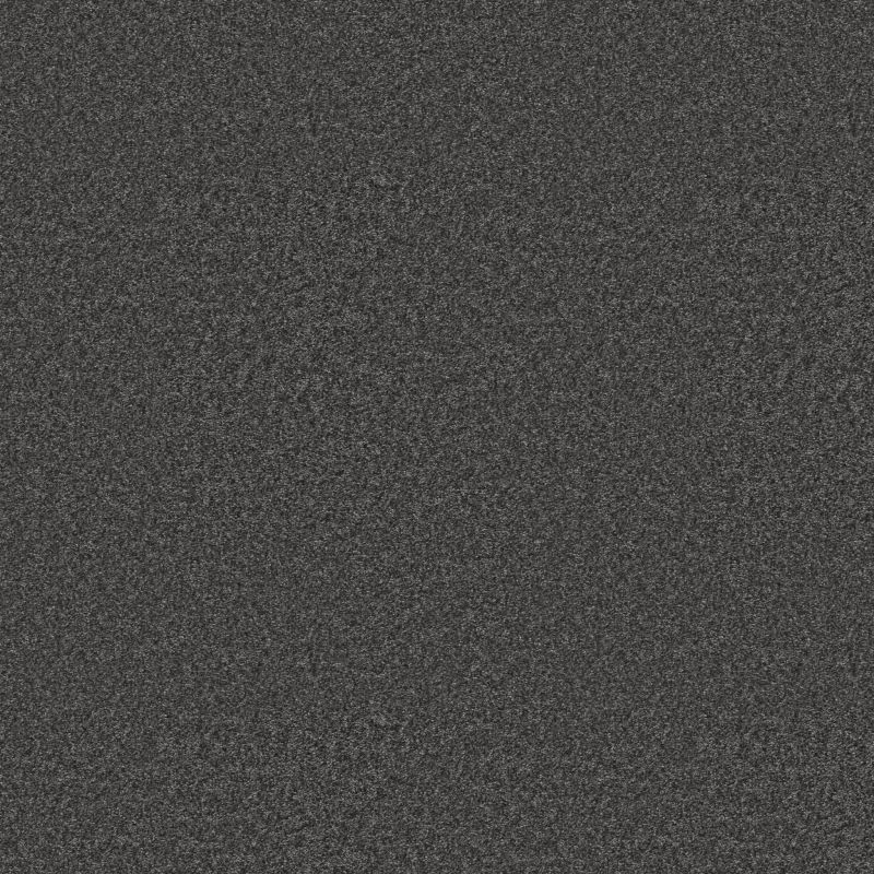 Shaw Floors Pet Perfect You Got This II Shadow