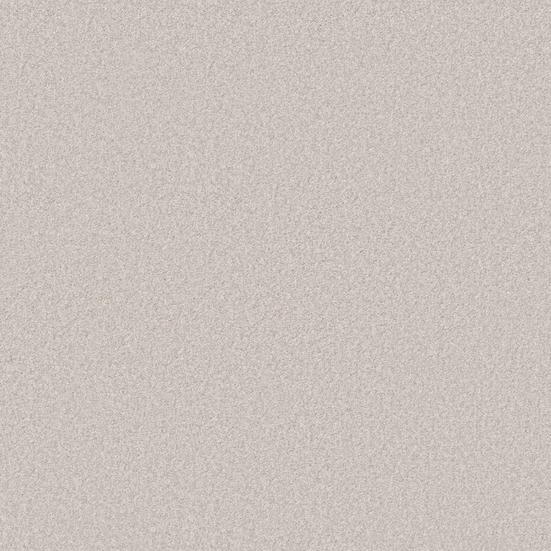 Shaw Floors Pet Perfect You Got This III Whitecap