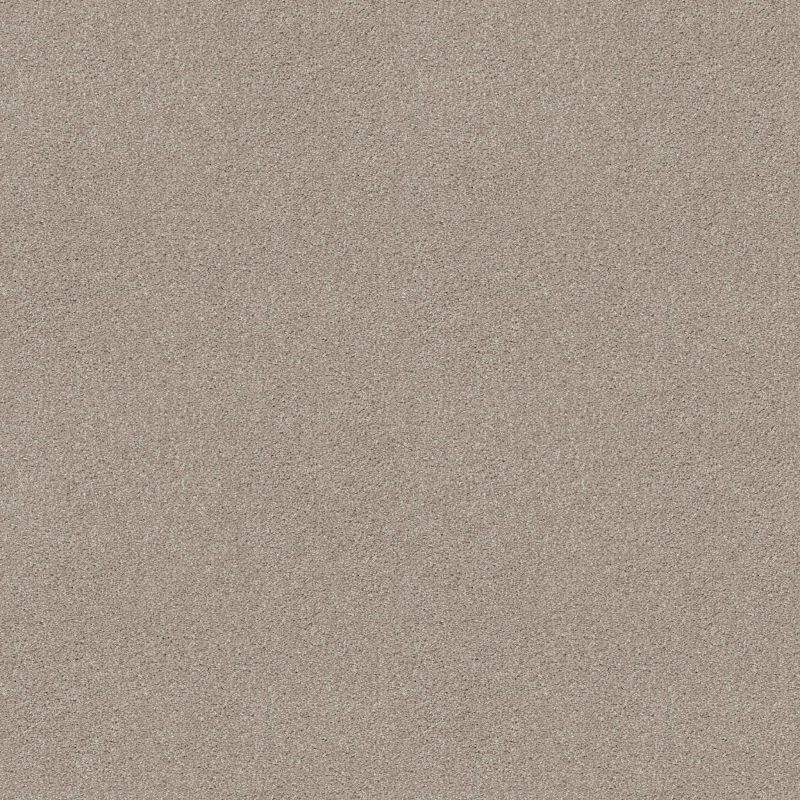 Shaw Floors Bountiful Beauty Catnip