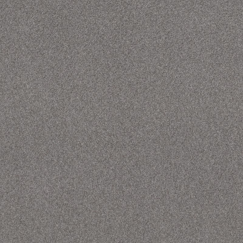 Shaw Floors Bountiful Beauty Charcoal