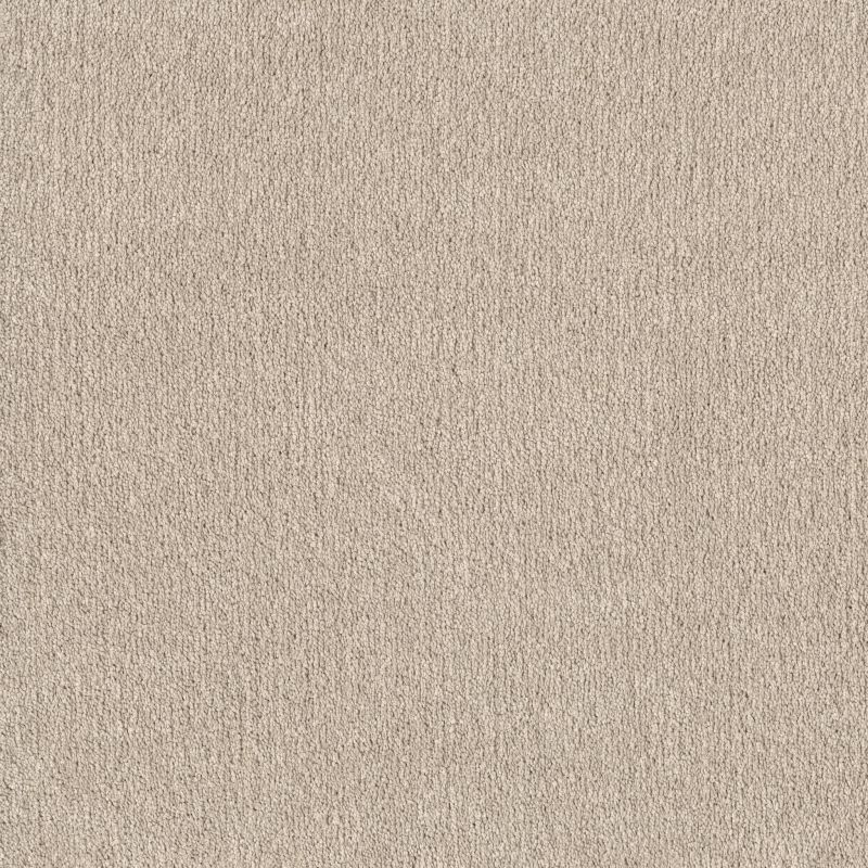 Shaw Floors Pet Perfect Posh Life Natural