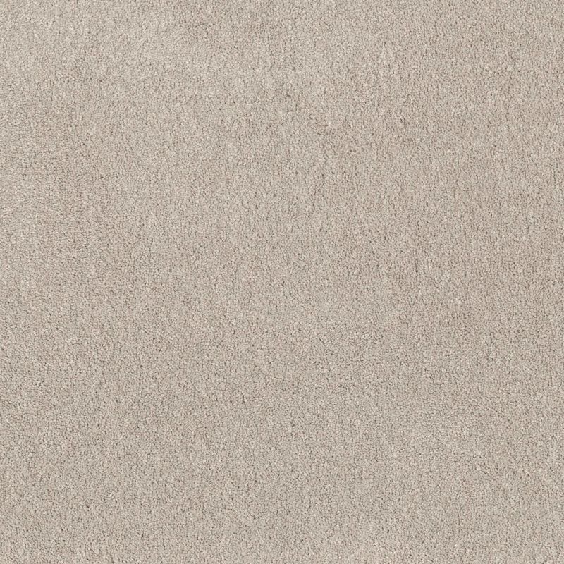 Shaw Floors Pet Perfect Posh Life Soft Sense