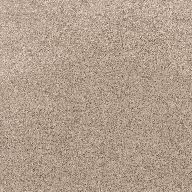 Shaw Floors Pet Perfect Posh Life Subtle Clay