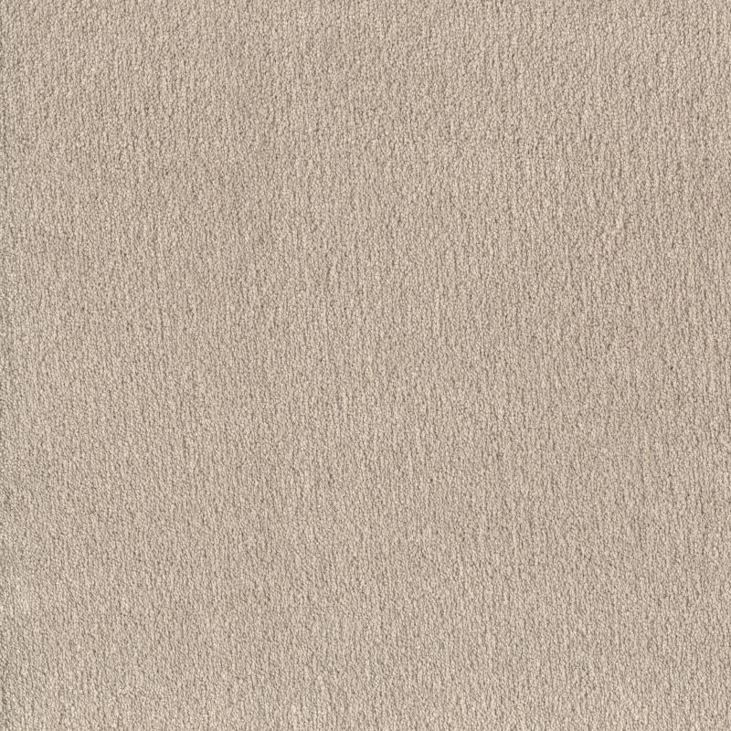 Shaw Floors Pet Perfect Posh Life Warm Light