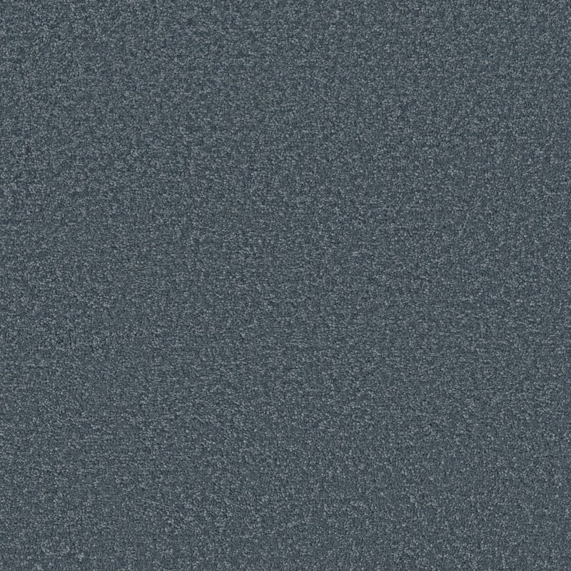 Shaw Floors Pet Perfect Posh Life Refined