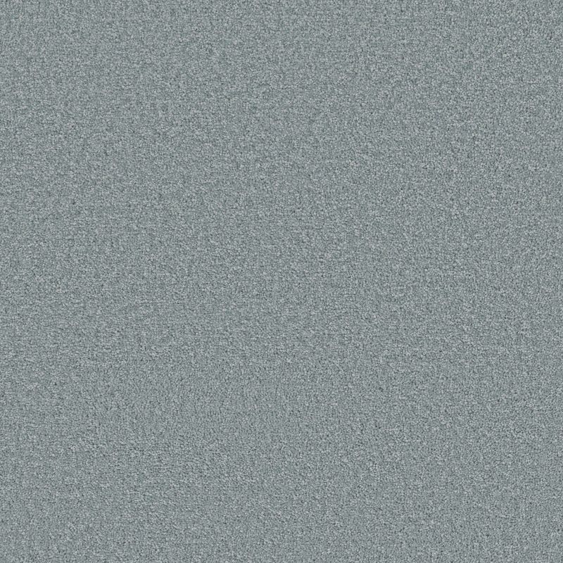 Shaw Floors Pet Perfect Posh Life Sea Ice